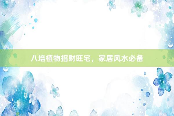 八培植物招财旺宅，家居风水必备