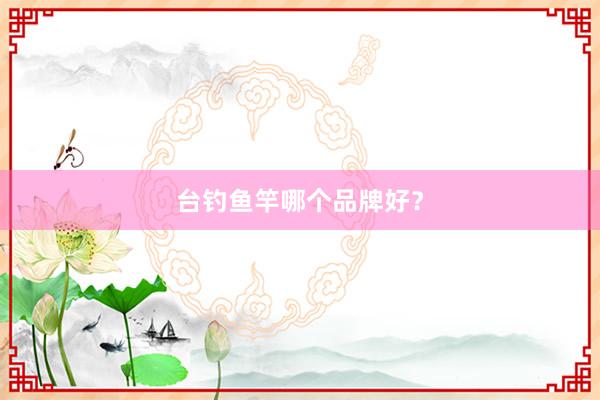 台钓鱼竿哪个品牌好？